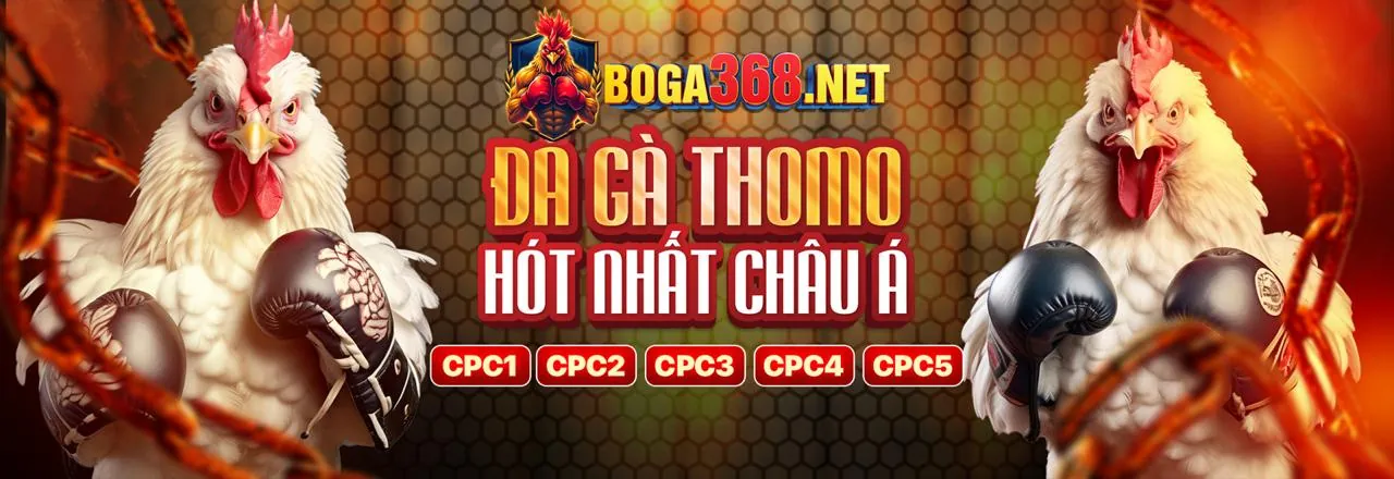 Thế giới game bài hấp dẫn tại e88 nhà cái